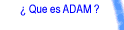  Que es ADAM ?